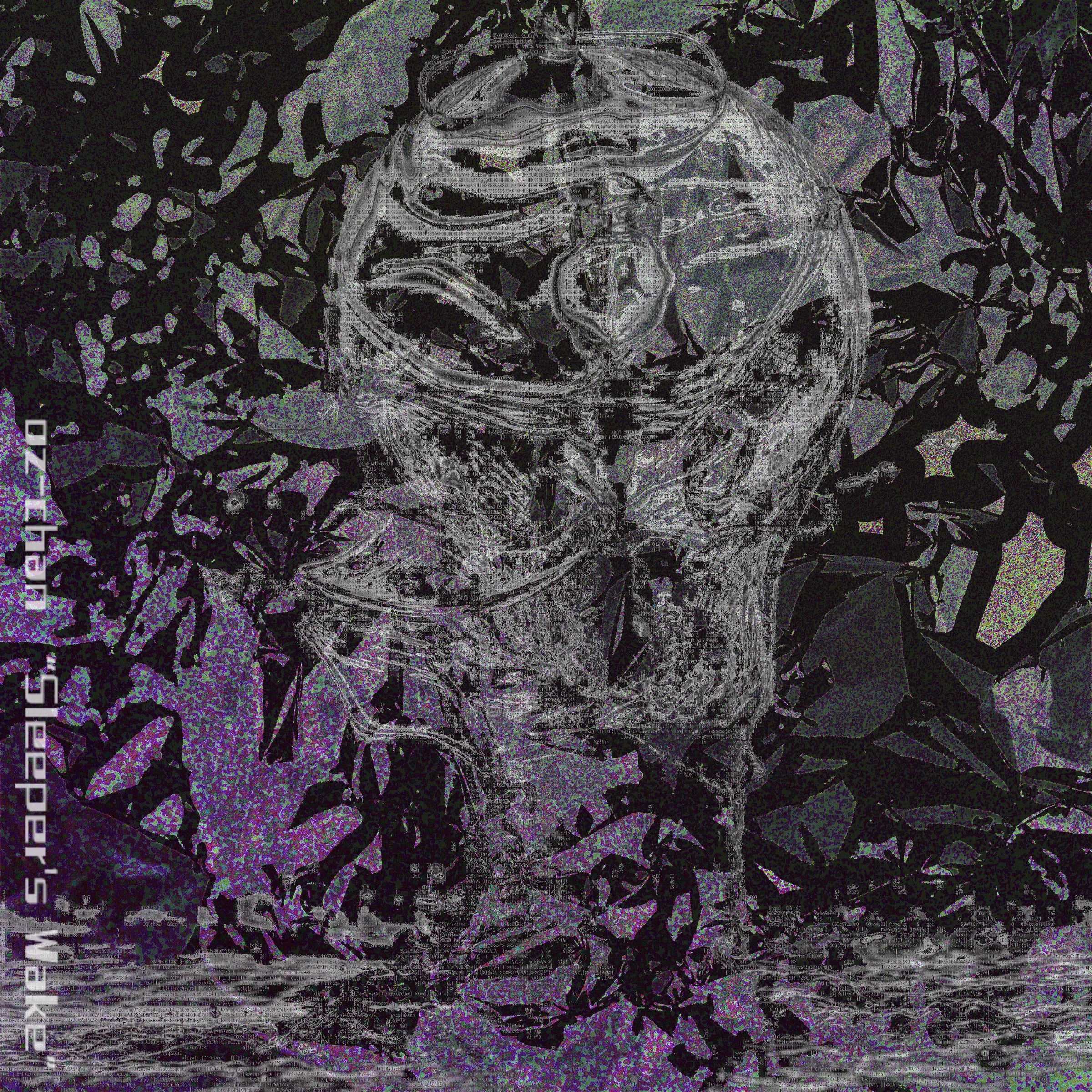 Album art for 'Sleeper's Wake'