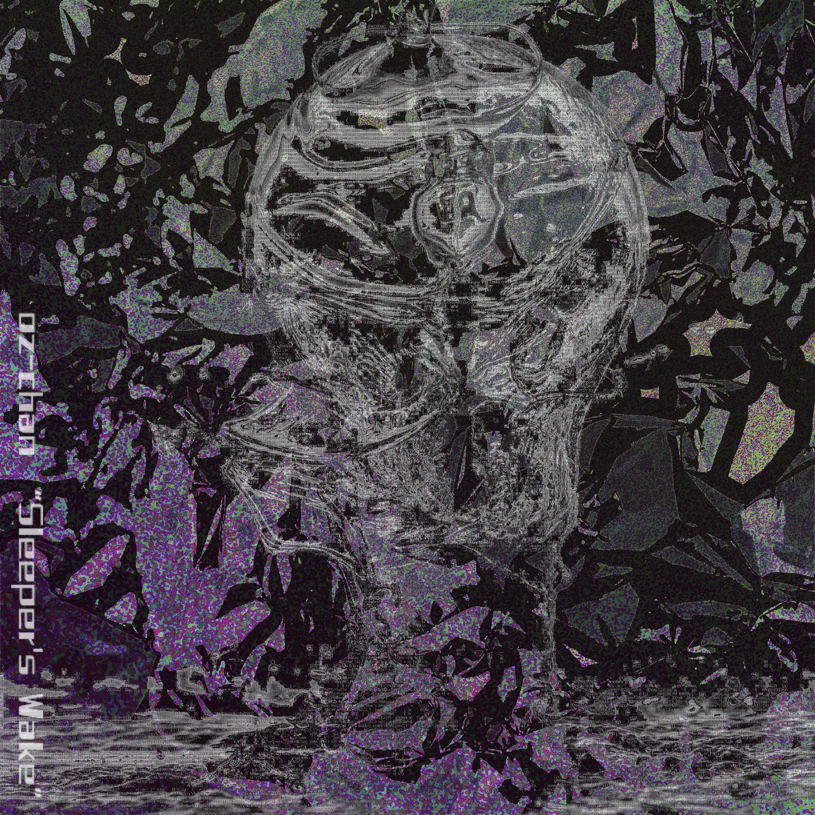 Album art for 'Sleeper's Wake'